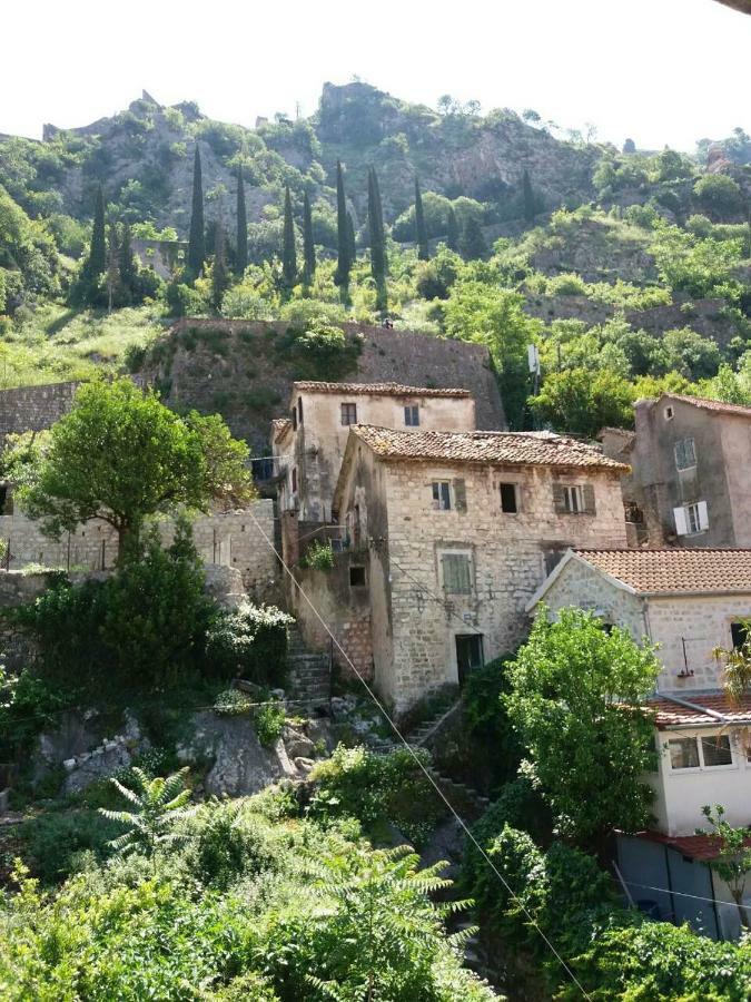 Nova Dvokrevetna Soba Sa Dva Odvojena Kreveta I Zajednickim Kupatilom Hotel Kotor Luaran gambar